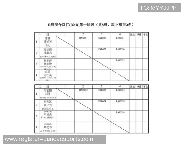 羽毛球巨献揭秘广州羽毛球队的荣耀与挑战之路 羽毛球巨献揭秘广州羽毛球队的荣耀与挑战之路