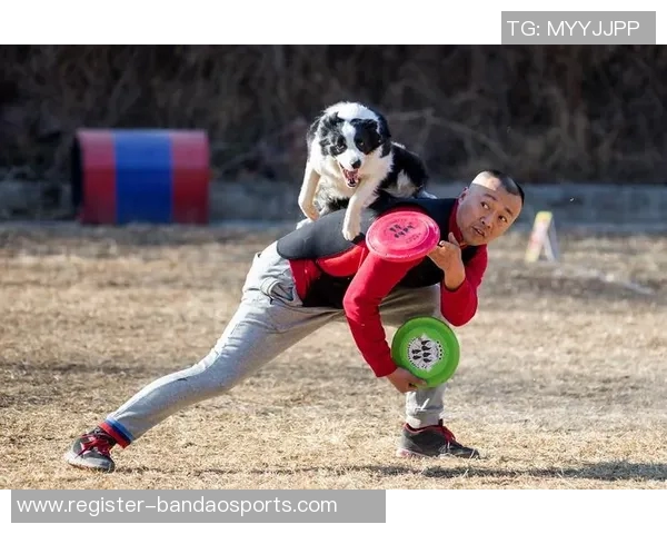 今年运动数据重庆飞盘队与北京飞盘队赛后状态分析与复盘总结
